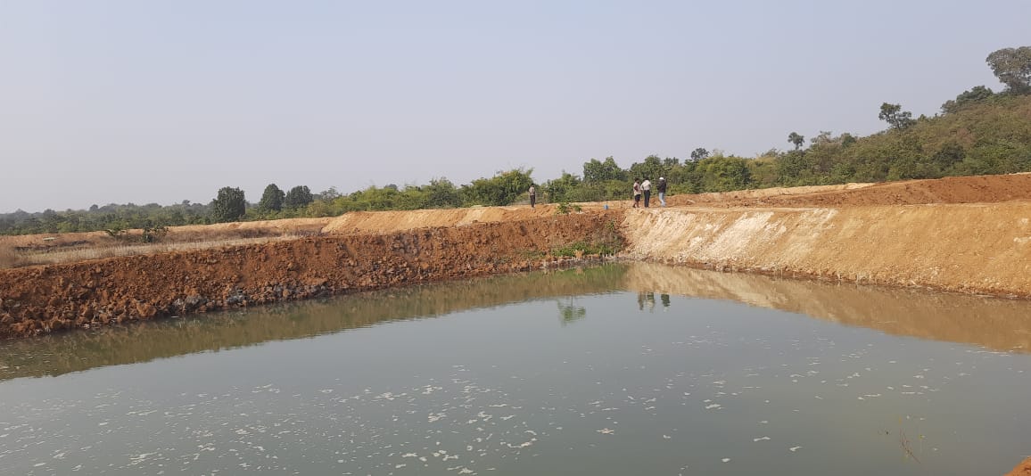 Development Of Fish Seed Rearing Pond By FIG Member At Narayanpur, Tal. Chamorshi